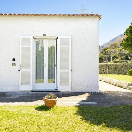 Elysium House - In With Garden *