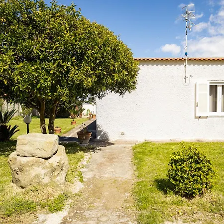 Elysium House - In With Garden Apartment *