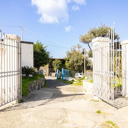 Elysium House - In With Garden Ischia